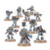 Cazadores Grises  de space wolves.