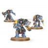 Wolf Guard Terminators.