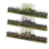 Pike & Shotte Epic Battles - Thirty Year's War Infantry Battalia.