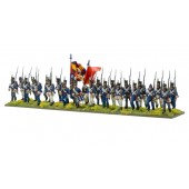 Napoleonic Portuguese Line Infantry.