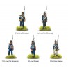 Napoleonic Portuguese Line Infantry.