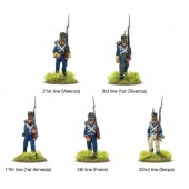 Napoleonic Portuguese Line Infantry.