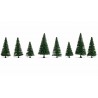 Fir trees.