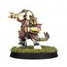 Equipe de Blood Bowl da Old World Alliance: The Middenheim Maulers.