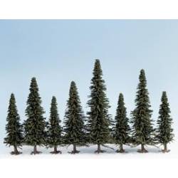 25 Model fir trees. NOCH 26320