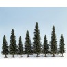 25 Model fir trees. NOCH 26320