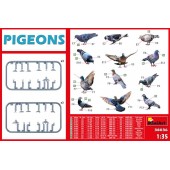 Pigeons.