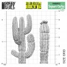 Saguaro Cactus.