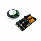 Decoder con sonido para UT300 de IBERTREN