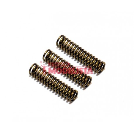 Springs (motor) TER/432 (x3).