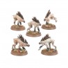 Kroot Hounds.