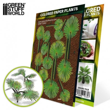 Plants: Ground palm.