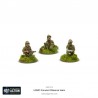 Equipo de observadores avanzados del USMC. Bolt Action.