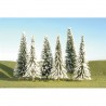 Pine trees with snow. SCENE SCAPES 32002