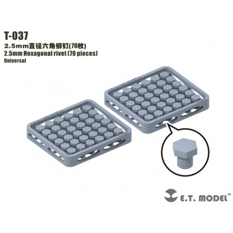 2.5 mm Hexagonal rivet (70 pieces).