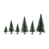 50 model fir trees. NOCH 26821