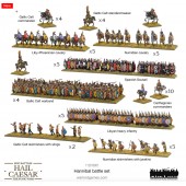 Hail Caesar Epic Battles: Hannibal battle-set.