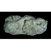 Molde para hacer rocas, Washed Rock. WOODLAND C1242