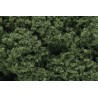 Foliage clusters medium green. WOODLAND FC58