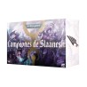 Ensemble de l’armée des fils de l’empereur : Champions de Slaanesh.