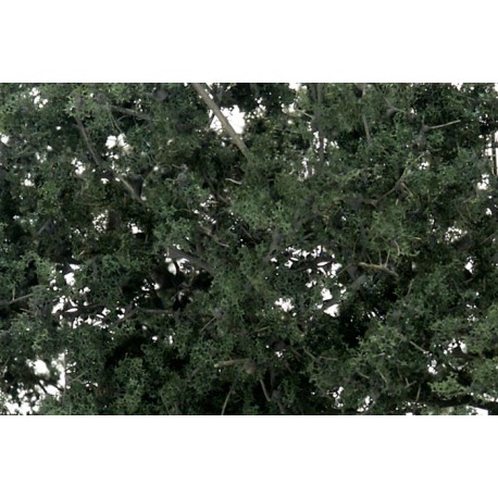 Fine-leaf foliage dark green. WOODLAND F1130