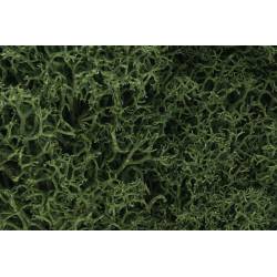 Liquen, verde medio WOODLAND L163