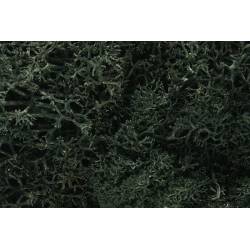 Liquen, verde oscuro. WOODLAND L164