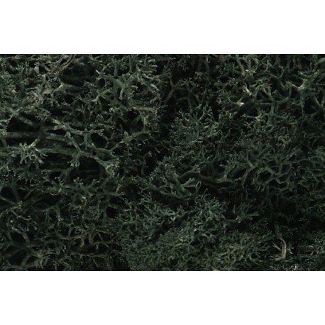 Liquen, verde oscuro. WOODLAND L164