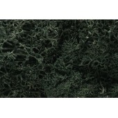 Lichen, dark green. WOODLAND L164