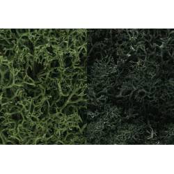 Liquen, verde WOODLAND L168