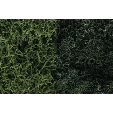 Liquen, verde WOODLAND L168