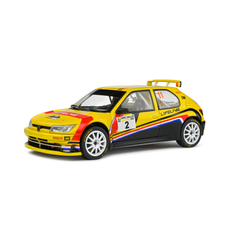Peugeot 306 Maxi. T. Neuville.