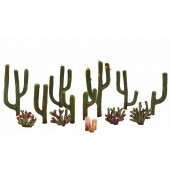 13 cactus. WOODLAND TR3600